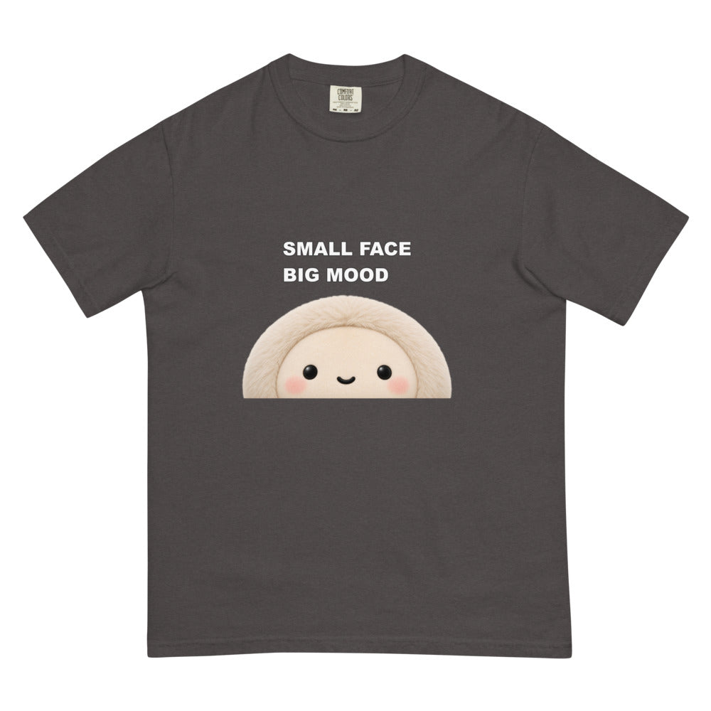 Muse Small Face Big Mood graphite tee, flat front product view