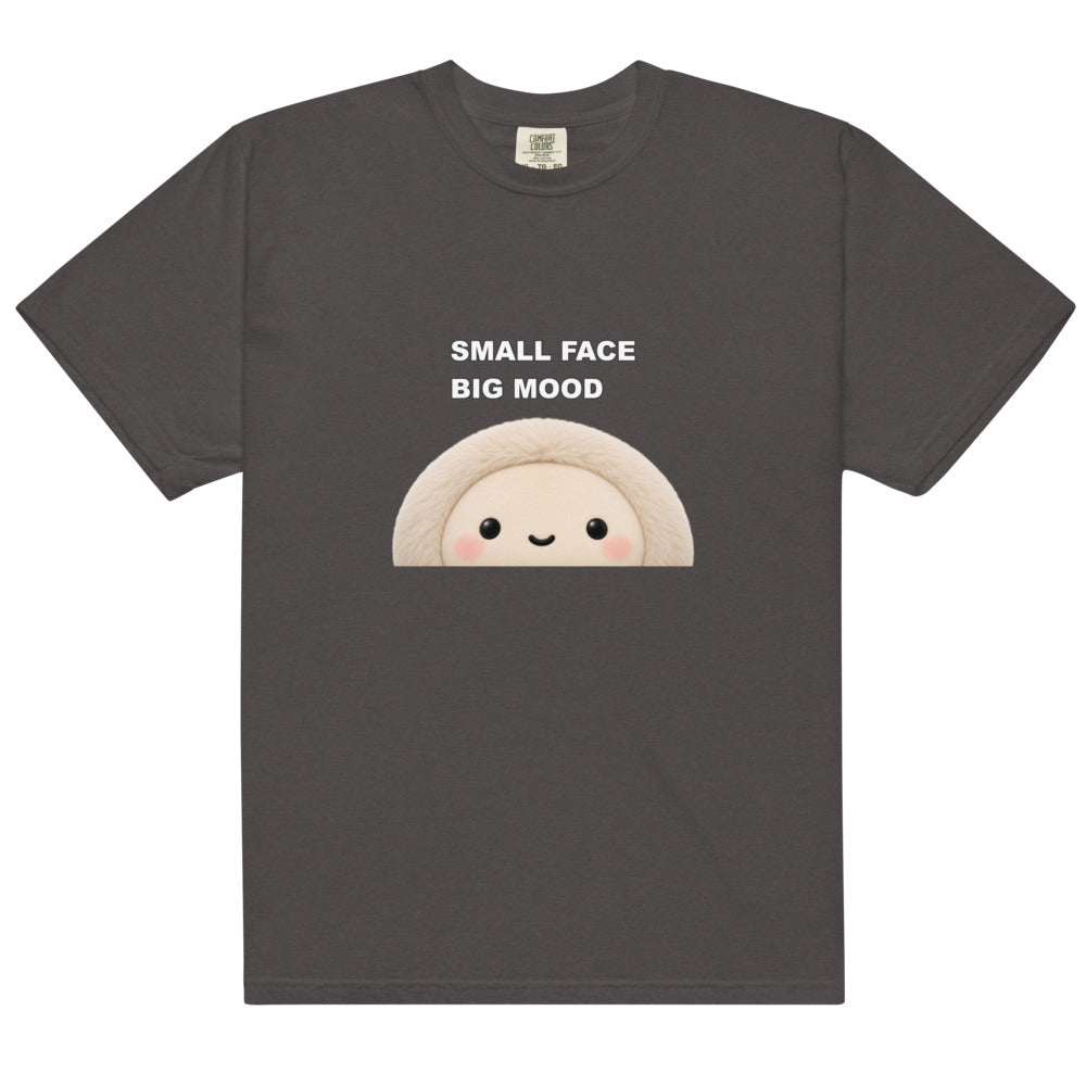 Muse Small Face Big Mood graphite tee, alternate flat front product view