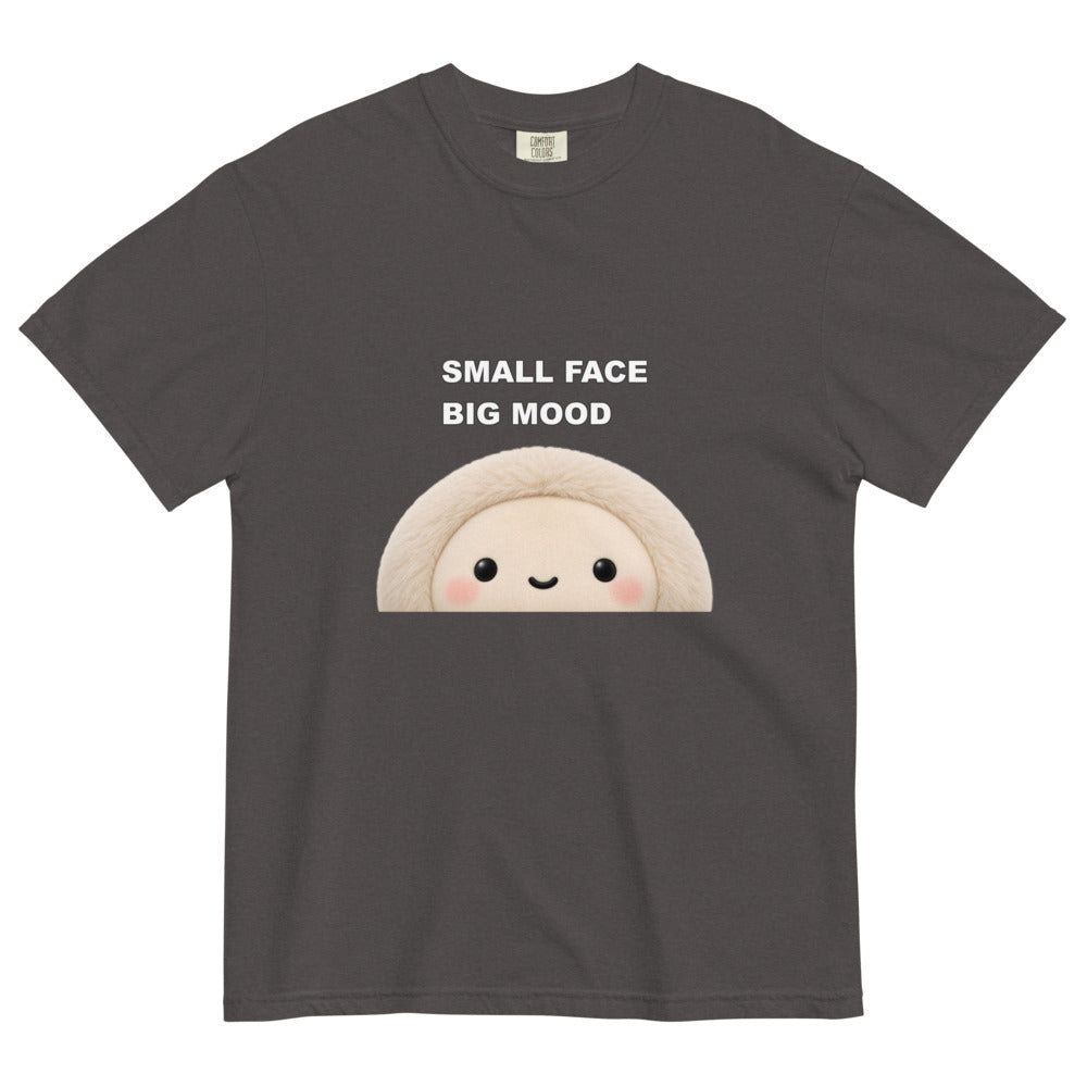 Muse Small Face Big Mood graphite tee, draped front product view