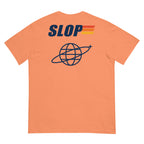 Robotics Club Tee in Terracotta, back view