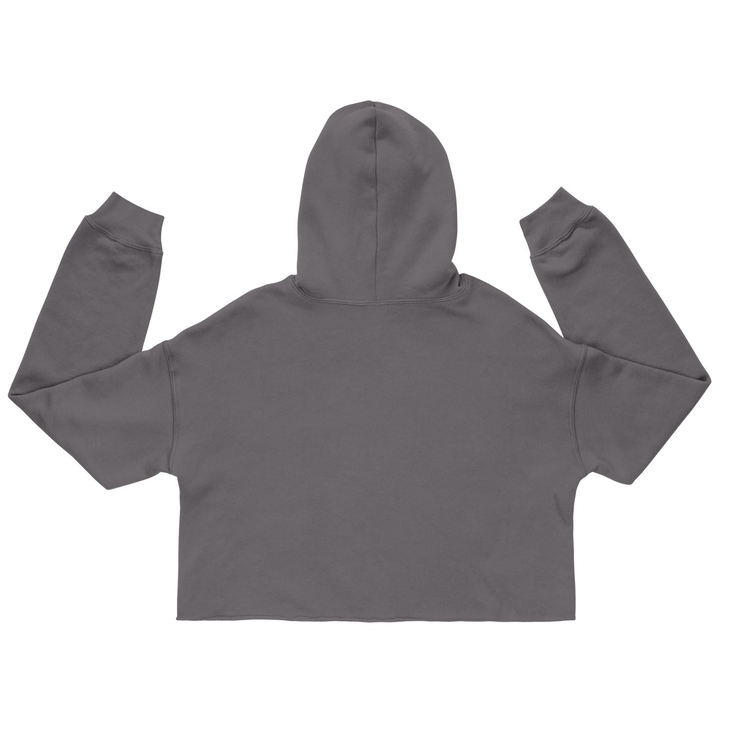 Wigette Daisy Shades cropped hoodie in Storm, flat back view